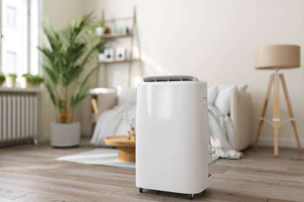 Best Ductless HVAC Repair  in Susitna North, AK